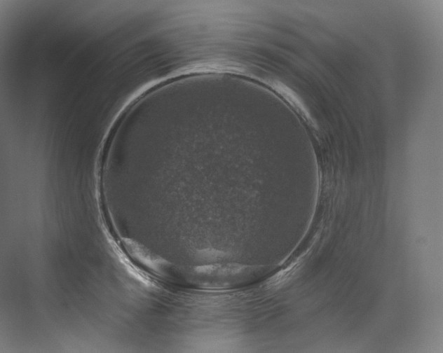 X0000074040854200608211516