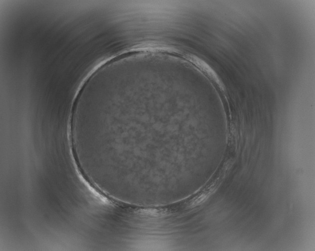 X0000074040855200608211517