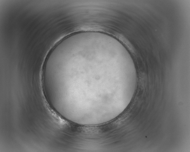 X0000074040856200608211517