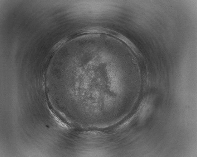 X0000074040857200608211517