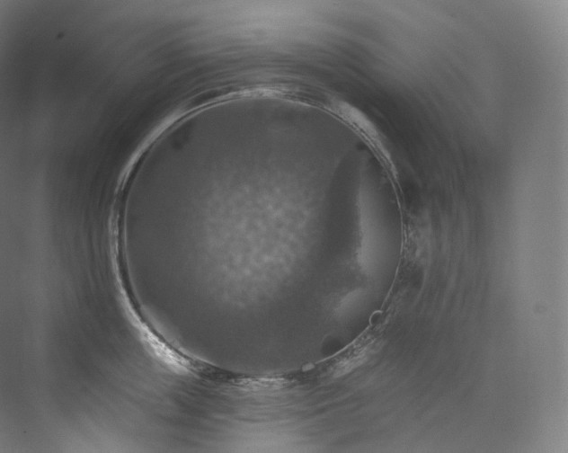 X0000074040859200608211517