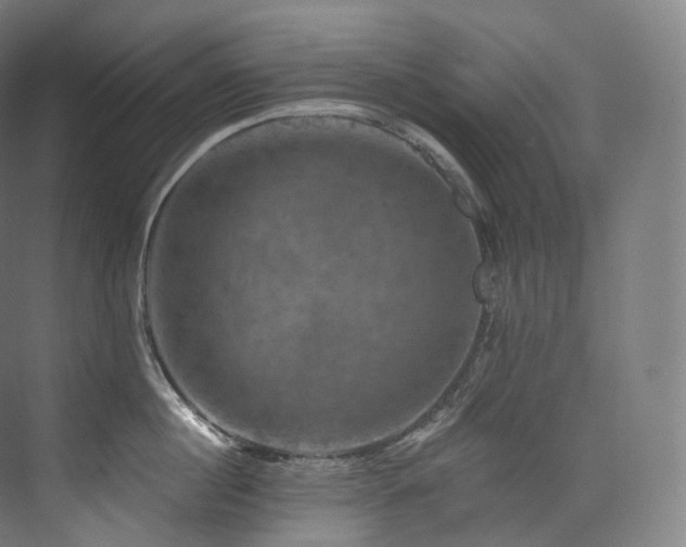 X0000074040860200608211517