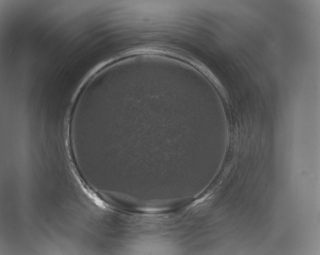 X0000074040862200608211517