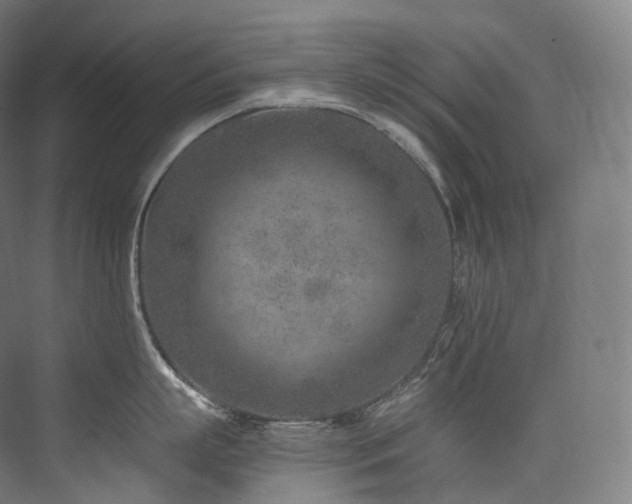 X0000074040863200608211517