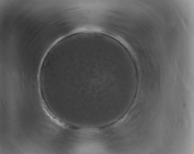 X0000074040864200608211517