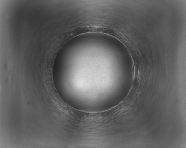 X0000074040865200608211516