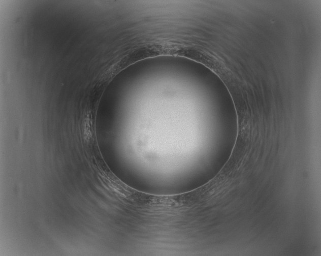 X0000074040866200608211516