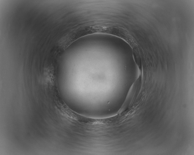 X0000074040867200608211516