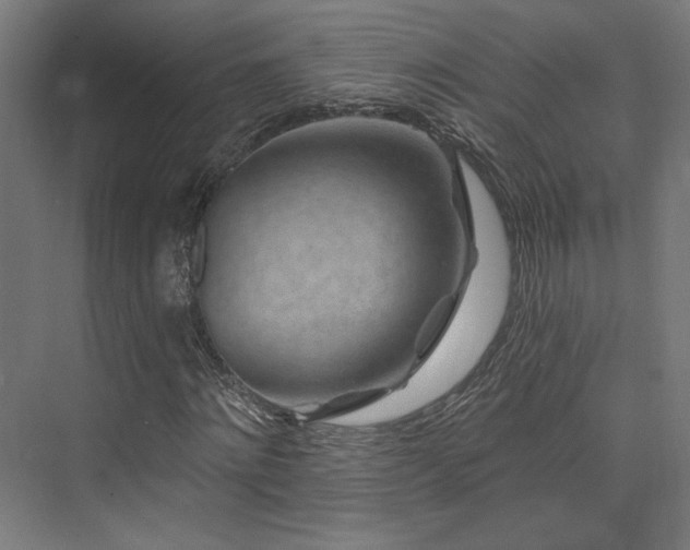 X0000074040868200608211516