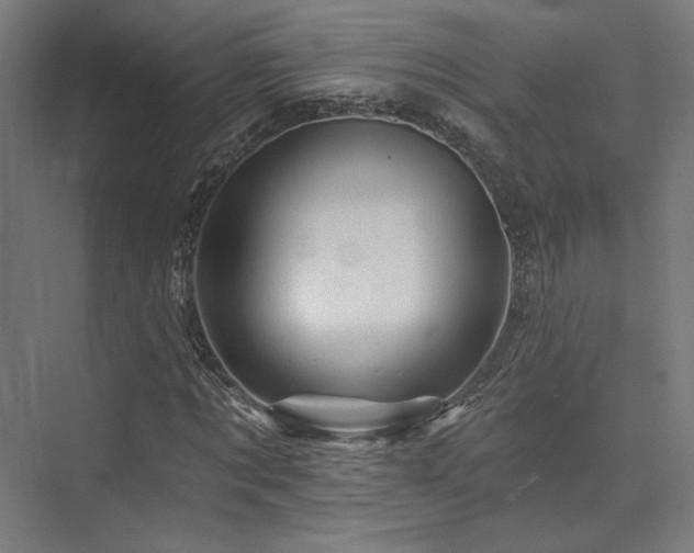 X0000074040869200608211516