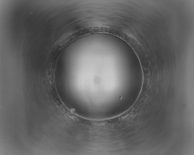 X0000074040870200608211516