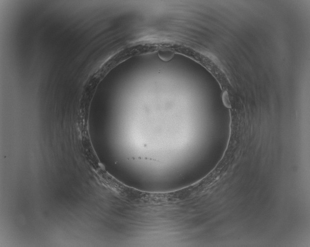 X0000074040871200608211516