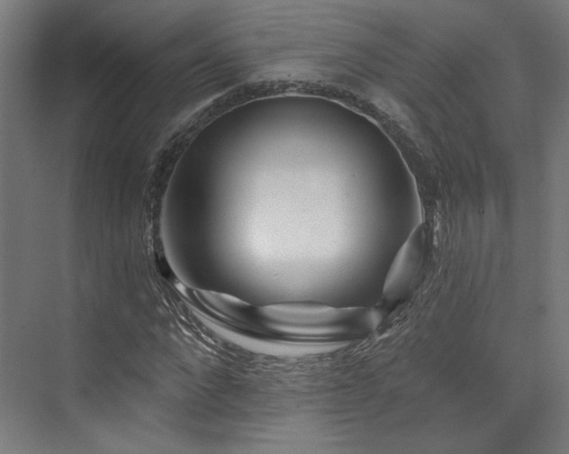 X0000074040872200608211516