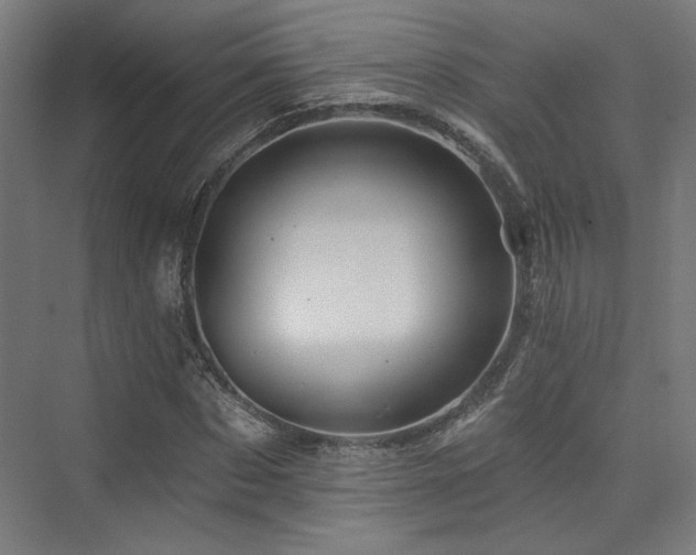 X0000074040873200608211516