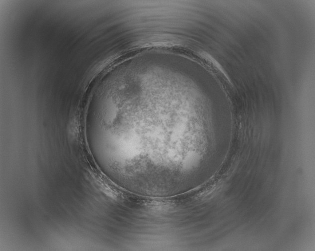 X0000074040874200608211516