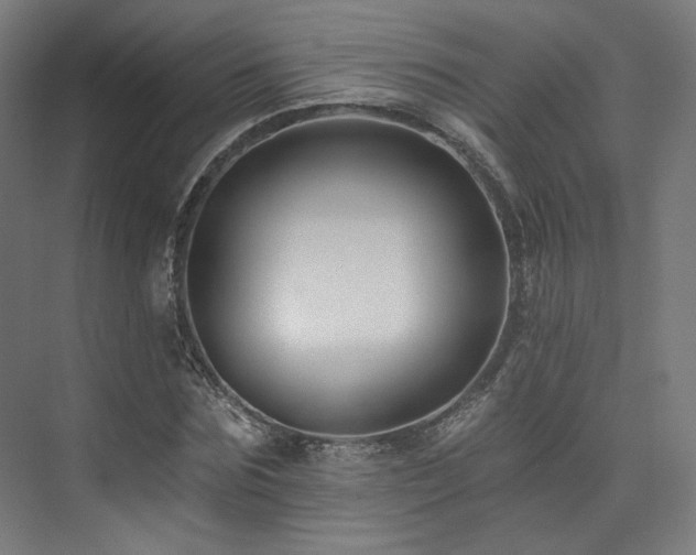 X0000074040875200608211516