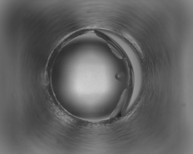 X0000074040876200608211516