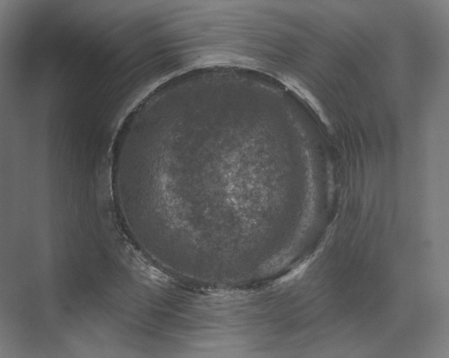 X0000074040877200608211516