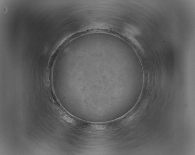 X0000074040878200608211516