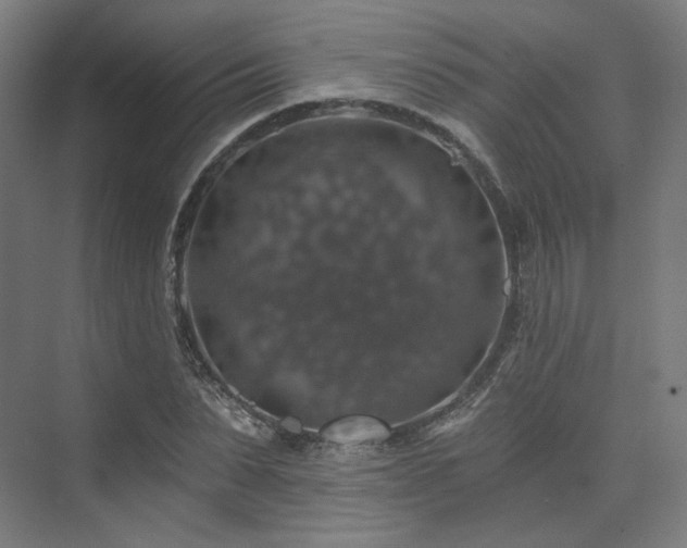 X0000074040879200608211516