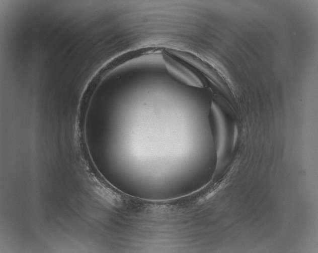 X0000074040880200608211516