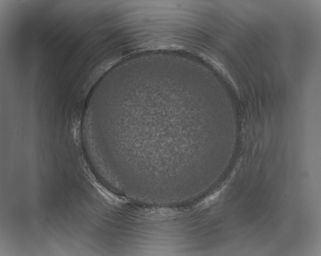 X0000074040881200608211516