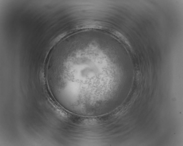 X0000074040882200608211516