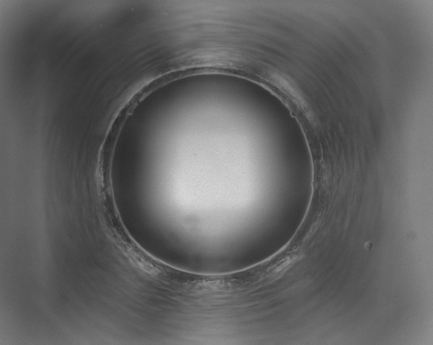 X0000074040883200608211516