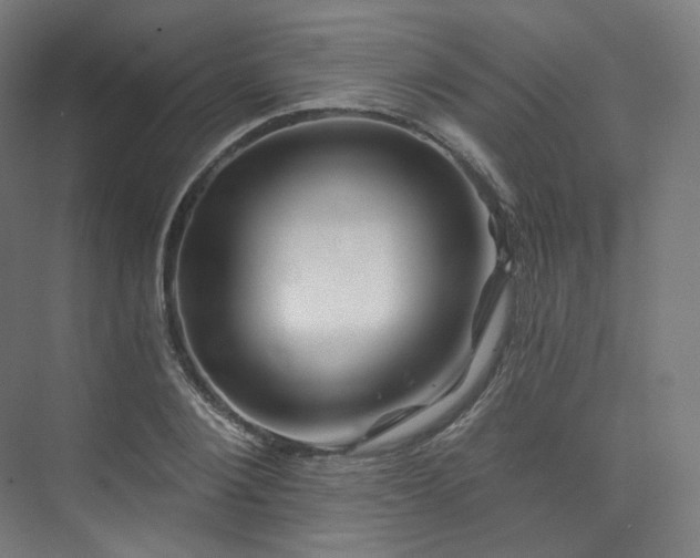 X0000074040884200608211516