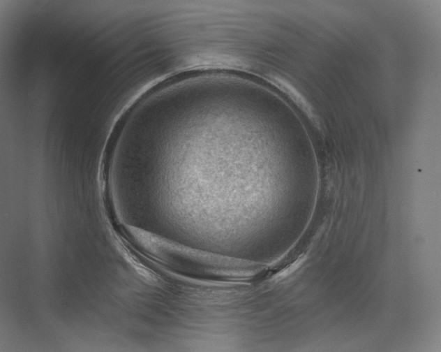 X0000074040885200608211516