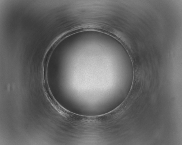 X0000074040886200608211515