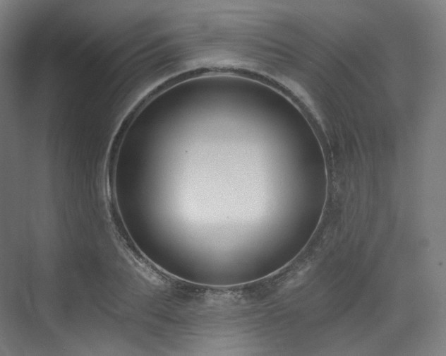 X0000074040887200608211515