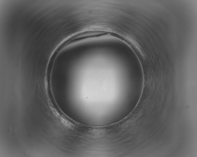 X0000074040888200608211515