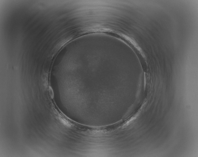 X0000074040889200608211515