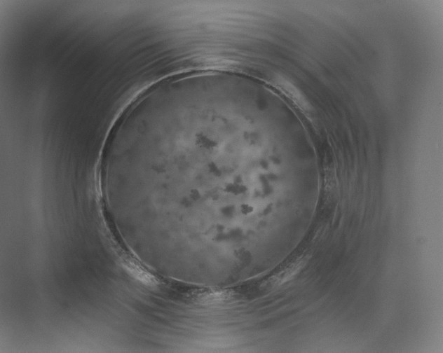 X0000074040891200608211515