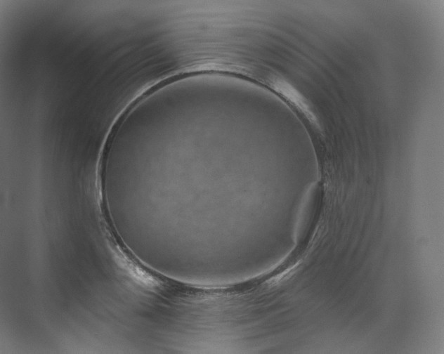 X0000074040892200608211515