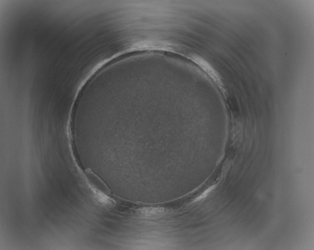 X0000074040893200608211515