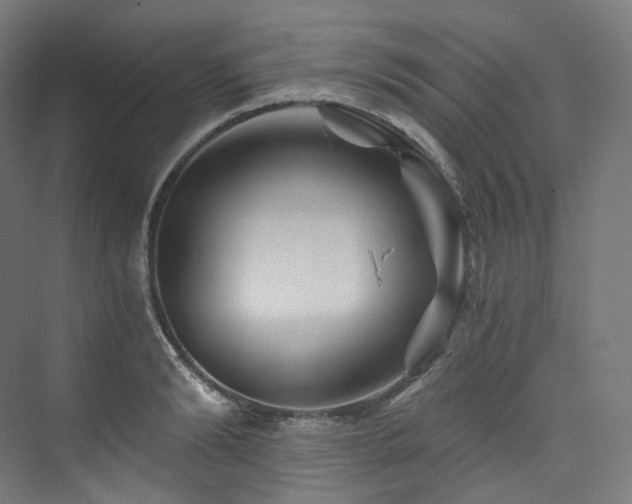 X0000074040894200608211515