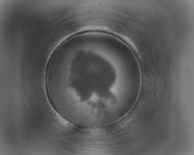 X0000074040895200608211515