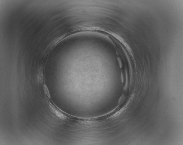 X0000074040897200608211515