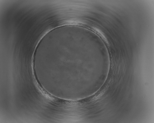 X0000074040899200608211515