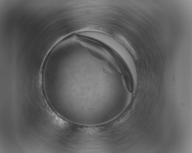 X0000074040900200608211515