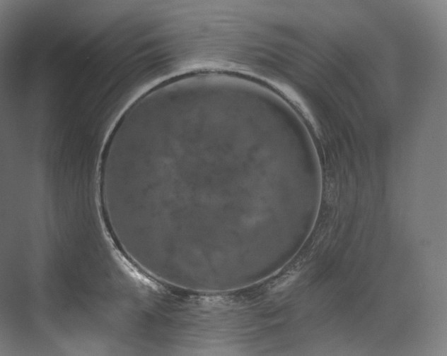 X0000074040903200608211515