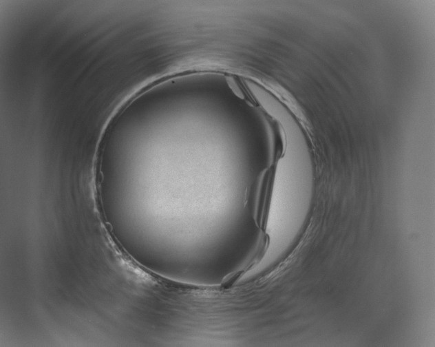 X0000074040904200608211515