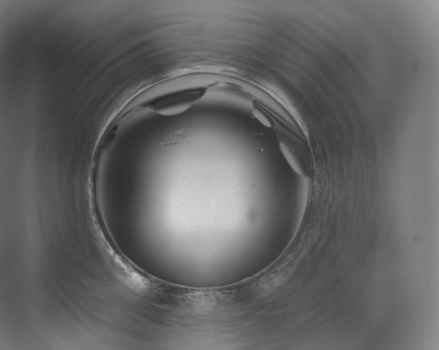 X0000074040906200608211515