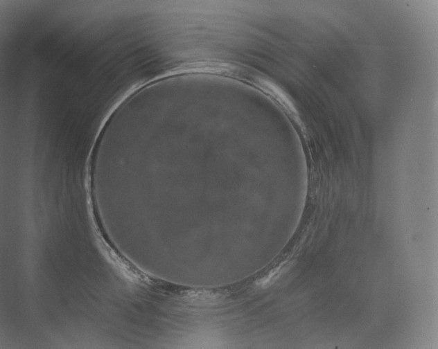 X0000074040907200608211515