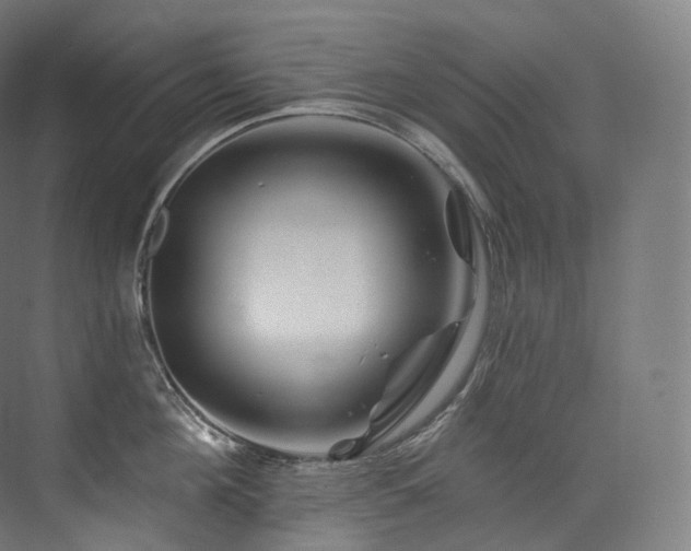 X0000074040908200608211515