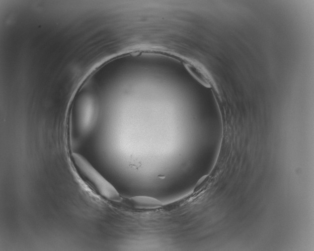 X0000074040911200608211515