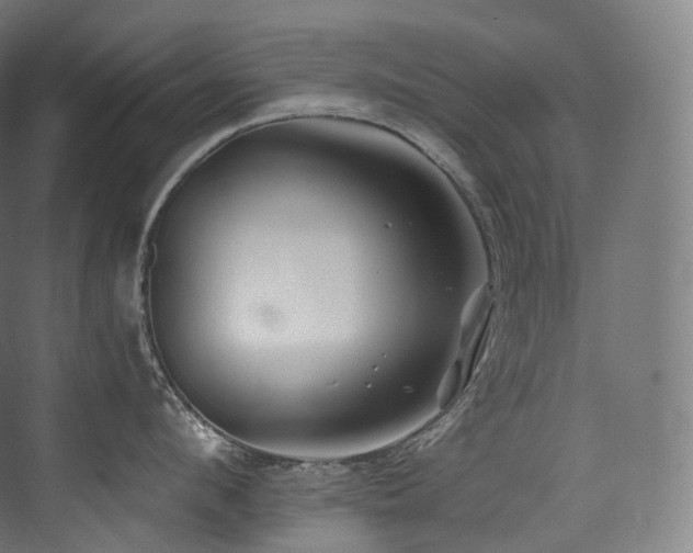 X0000074040912200608211515