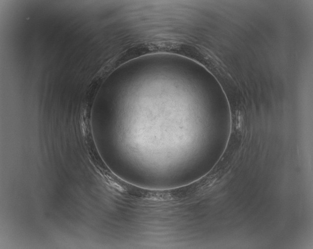 X0000074040915200608211514